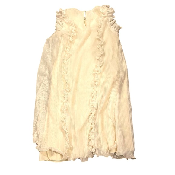 Off-White Ruffled Dress - Picture 2 of 9